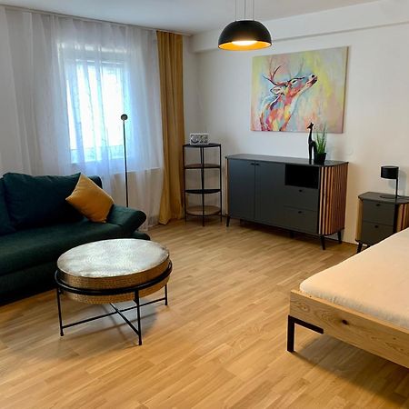 Air-Conditioned, Quiet Apartment With A Terrace In Center Of St Poelten - Smart Tv Ζανκτ Πέλτεν Εξωτερικό φωτογραφία