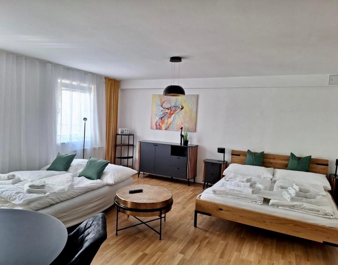 Air-Conditioned, Quiet Apartment With A Terrace In Center Of St Poelten - Smart Tv Ζανκτ Πέλτεν Εξωτερικό φωτογραφία
