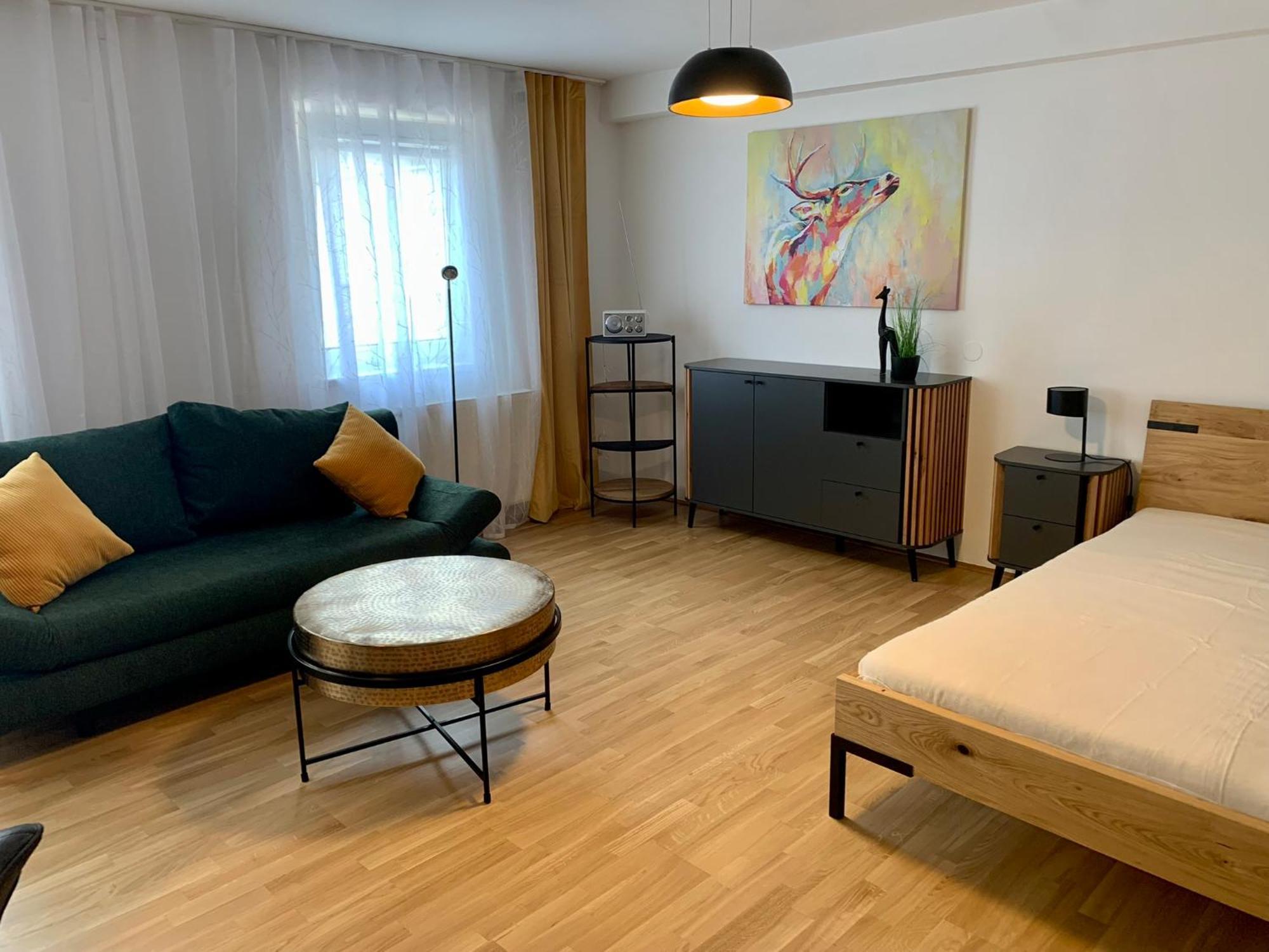 Air-Conditioned, Quiet Apartment With A Terrace In Center Of St Poelten - Smart Tv Ζανκτ Πέλτεν Εξωτερικό φωτογραφία